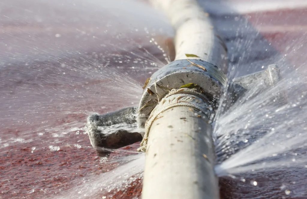 Benefits of Professional Water Leak Detection Services