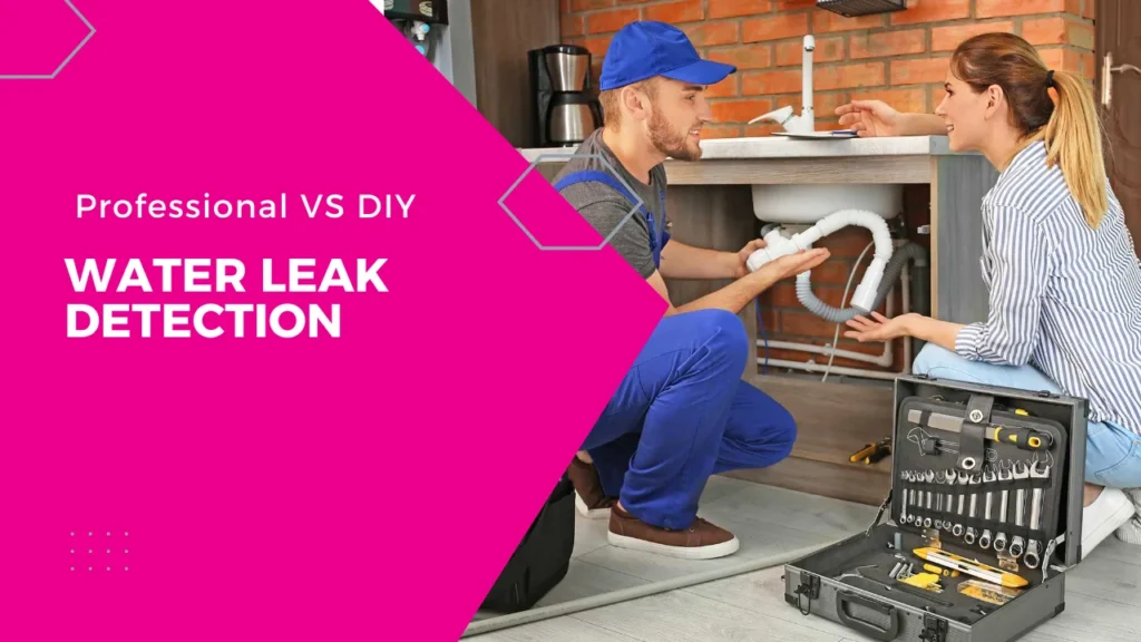 Difference between Professional and DIY Water Leak Detection