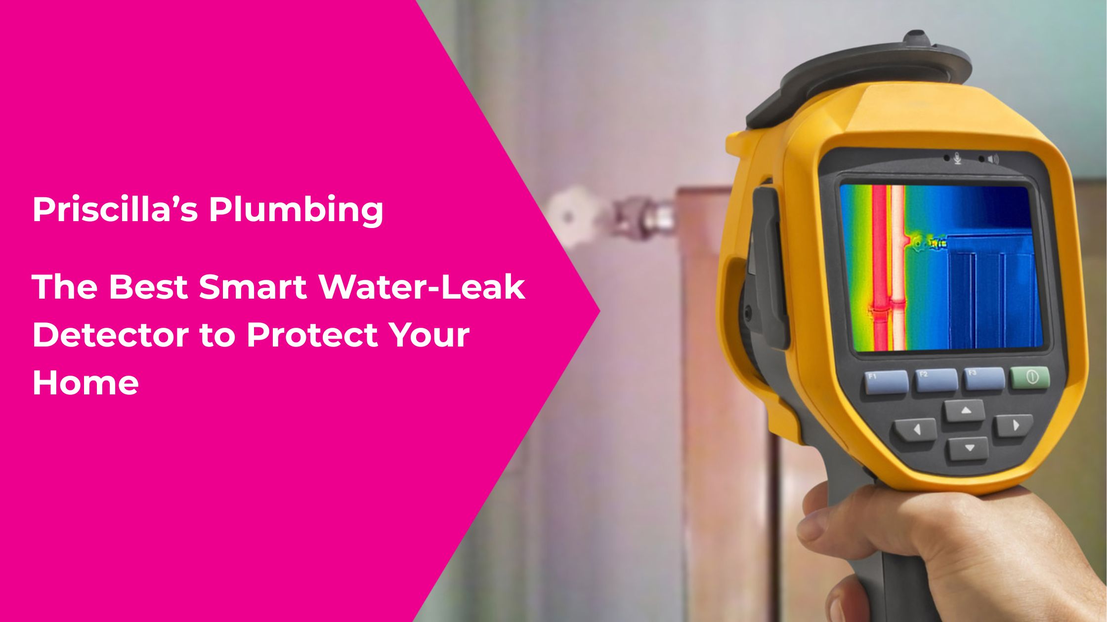 Best Smart Water-Leak Detector