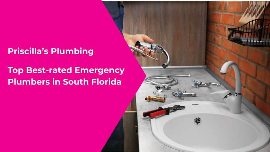 Emergency Plumbers
