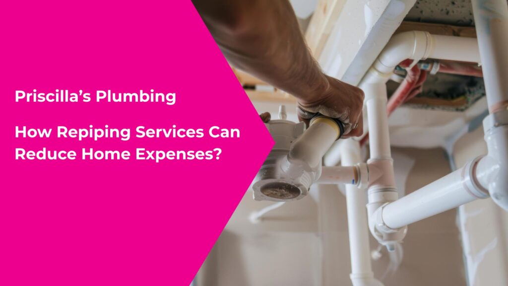 Repiping Services