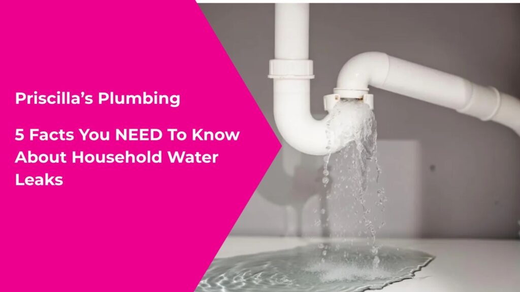 Household Water Leaks